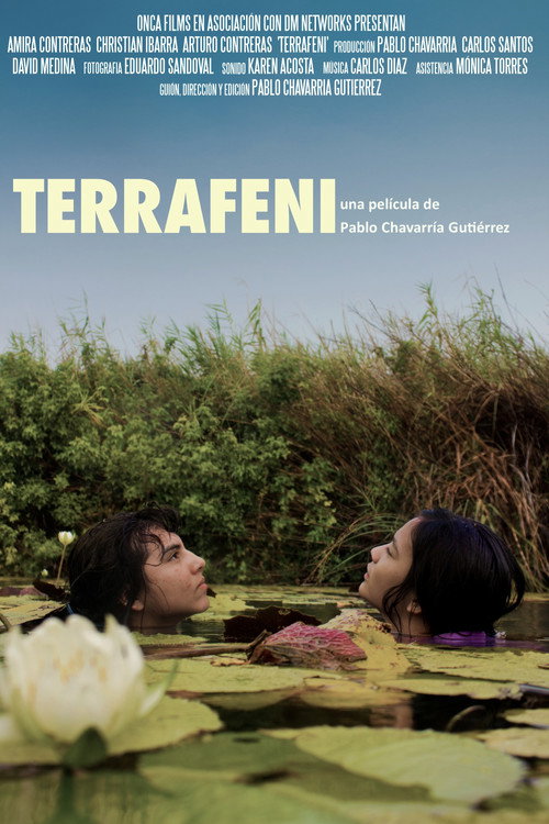 Movie poster for Terrafeni (2012)