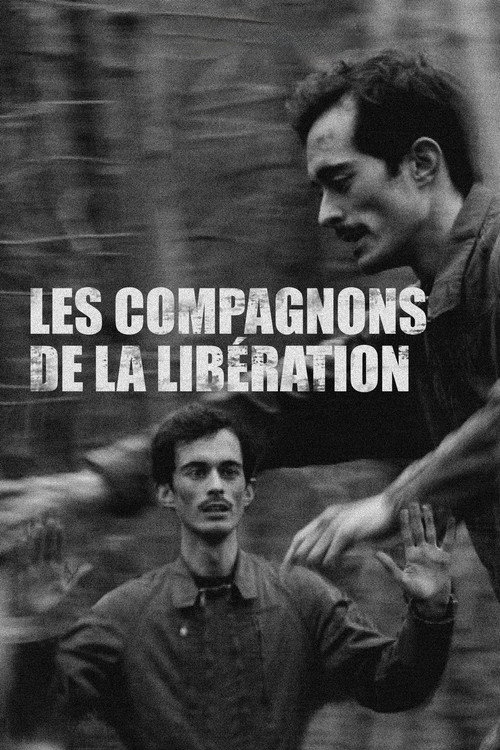 Movie poster for Les compagnons de la Libération