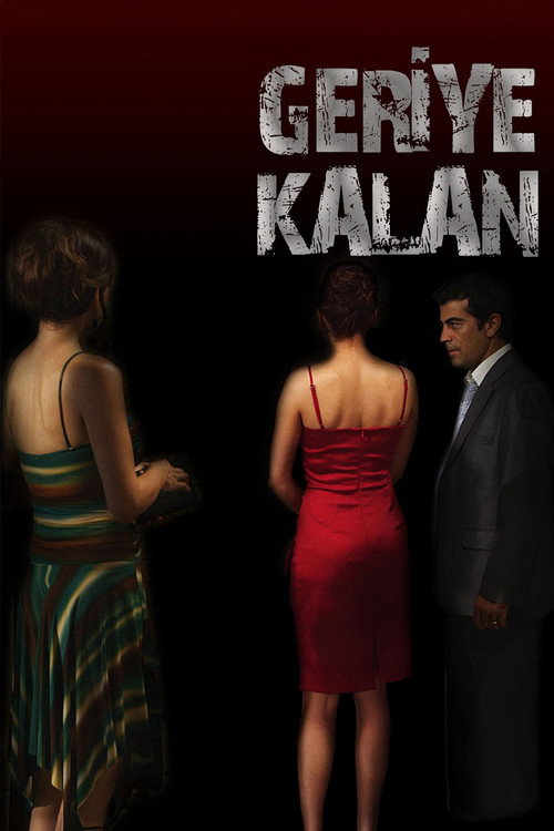 Movie poster for What Remains (2012)