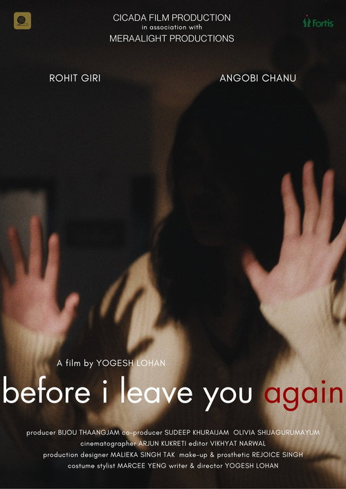 Movie poster for Before I Leave You Again