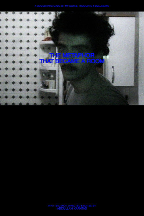 Movie poster for The Metaphor That Became a Room (2025)