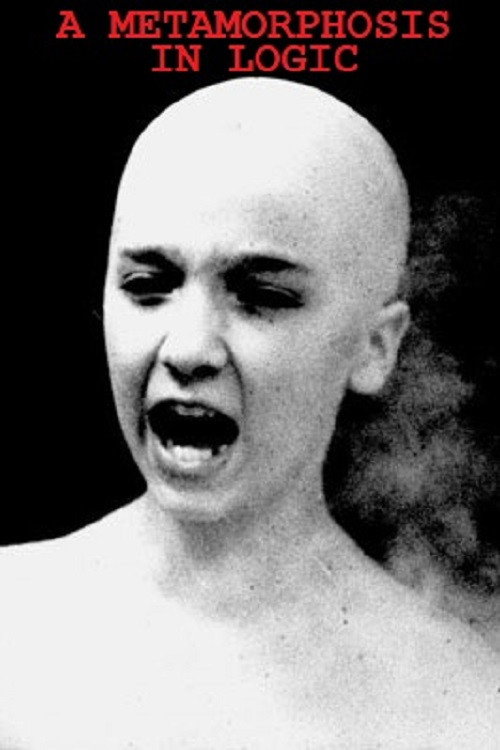Movie poster for A Metamorphosis in Logic (1989)