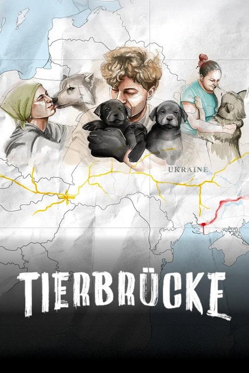 Series poster for Die Tierbrücke (2025)