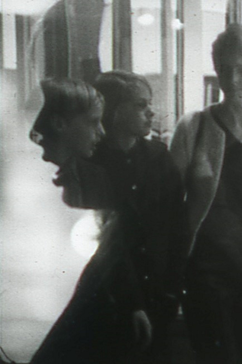 Movie poster for Image, Flesh and Voice (1969)