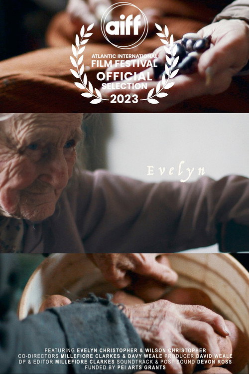 Movie poster for Evelyn (2023)