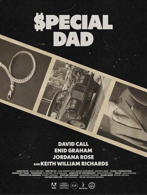 Movie poster for Special Dad (2024)