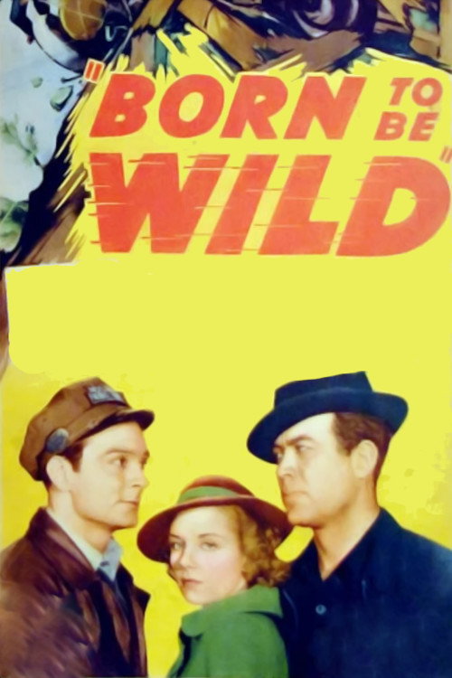 Movie poster for Born to Be Wild (1938)