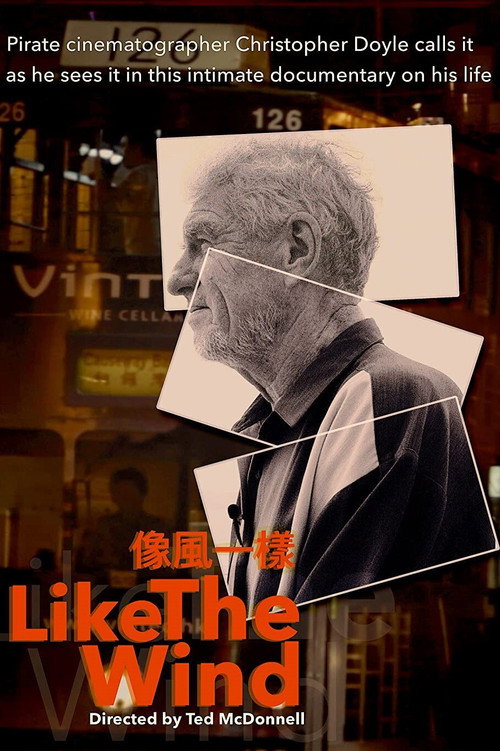 Movie poster for Like the Wind (2021)