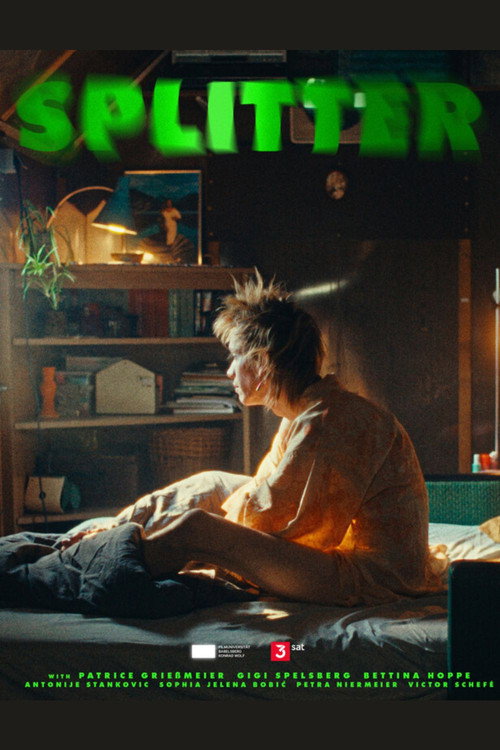 Movie poster for Splitter (2024)