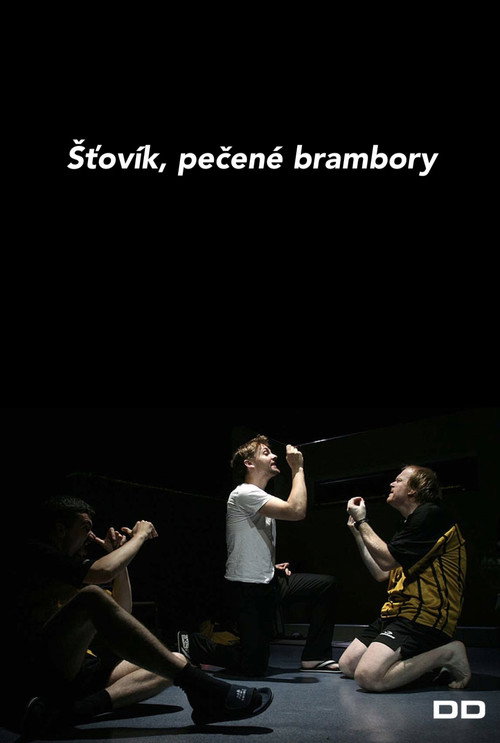 Movie poster for Šťovík, pečené brambory (2007)