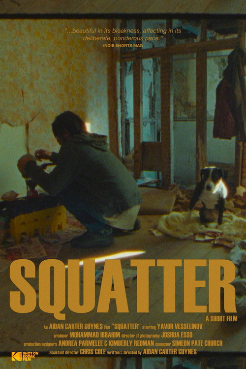 Movie poster for Squatter