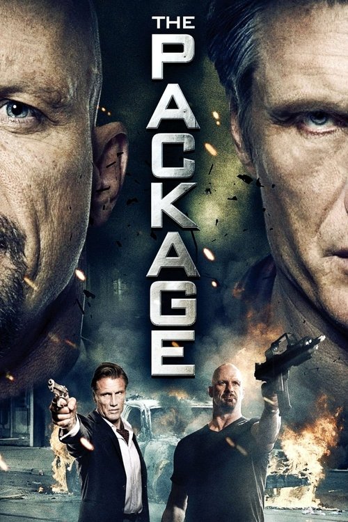 Movie poster for The Package (2013)