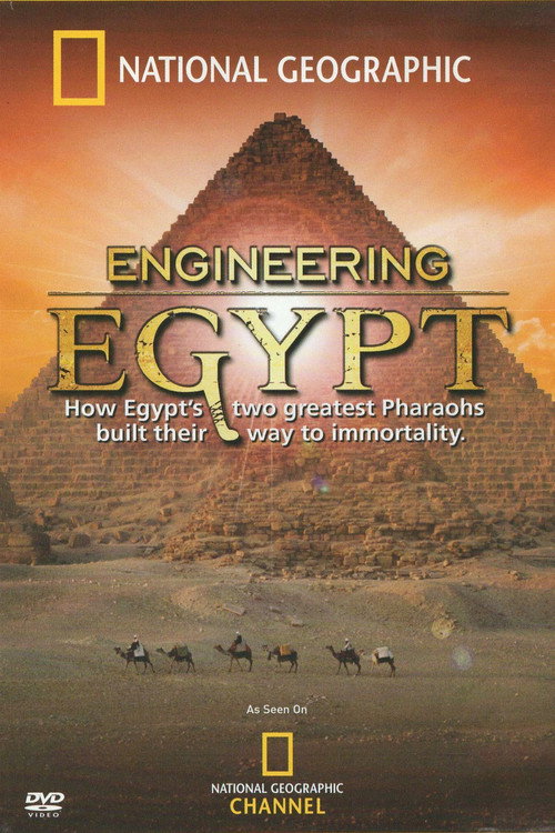 Movie poster for Engineering Egypt (2007)