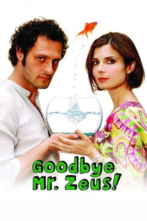 Movie poster for Goodbye Mr. Zeus! (2010)