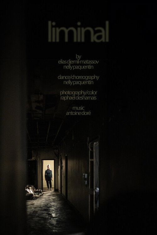 Movie poster for liminal (2024)