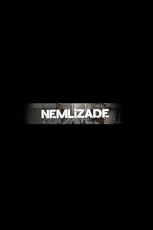 Nemlizade poster