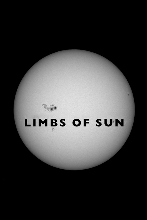 Movie poster for Limbs of Sun (2016)