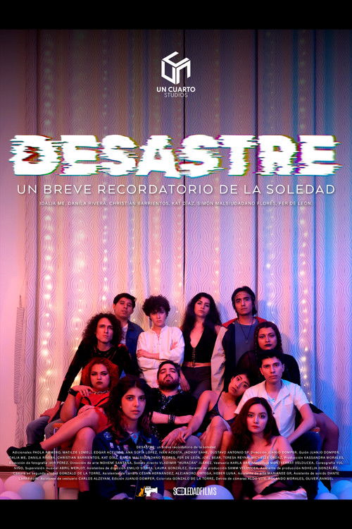 Movie poster for DISASTER: a brief reminder of loneliness (2024)