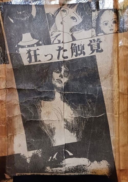 Movie poster for Distorted Sense of Touch (1985)