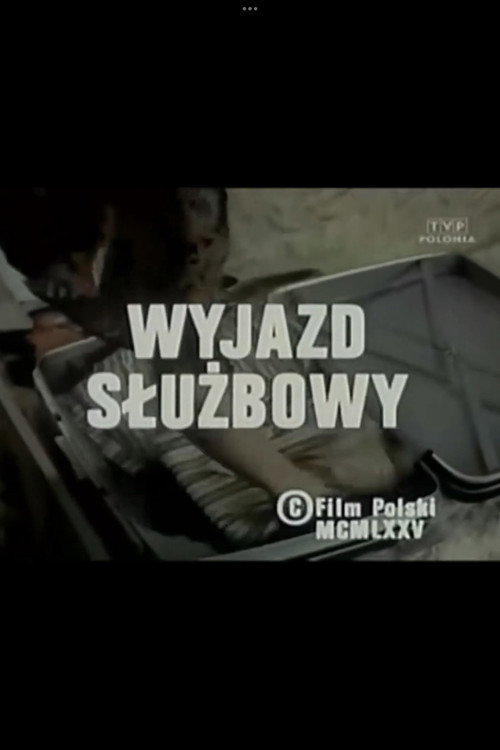 Movie poster for Wyjazd służbowy (1976)