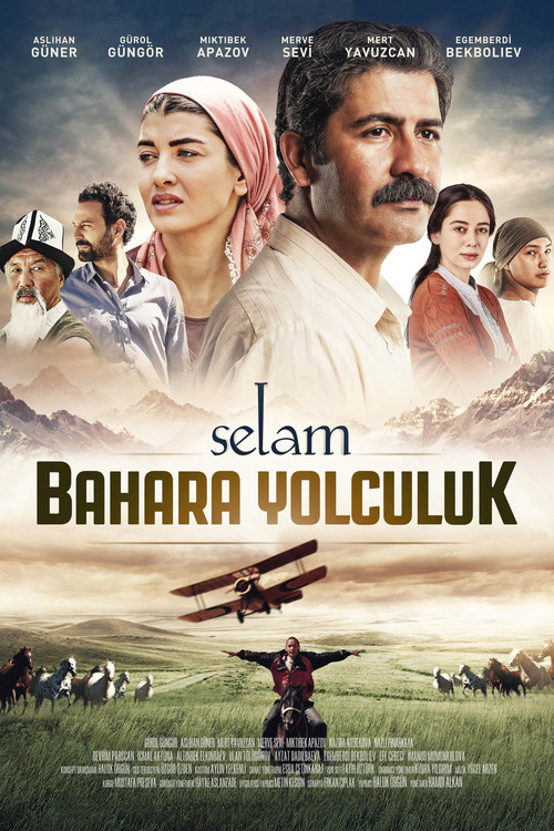 Movie poster for Selam: Bahara Yolculuk (2015)