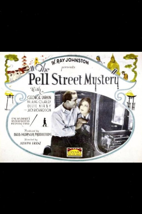 Movie poster for The Pell Street Mystery (1924)