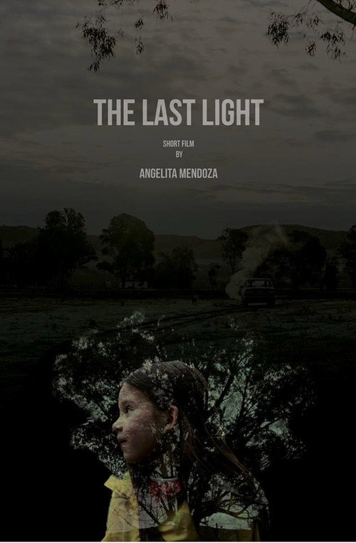 Movie poster for The Last Light (2017)