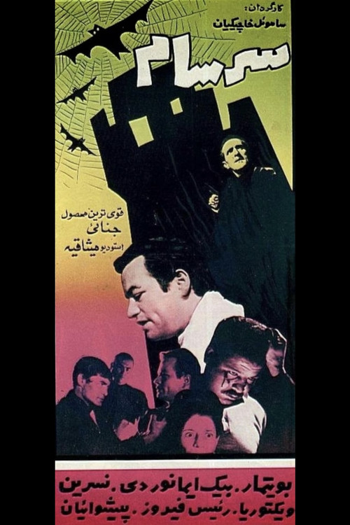Movie poster for Delirium (1965)