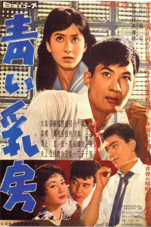 Movie poster for Young Breasts (1958)