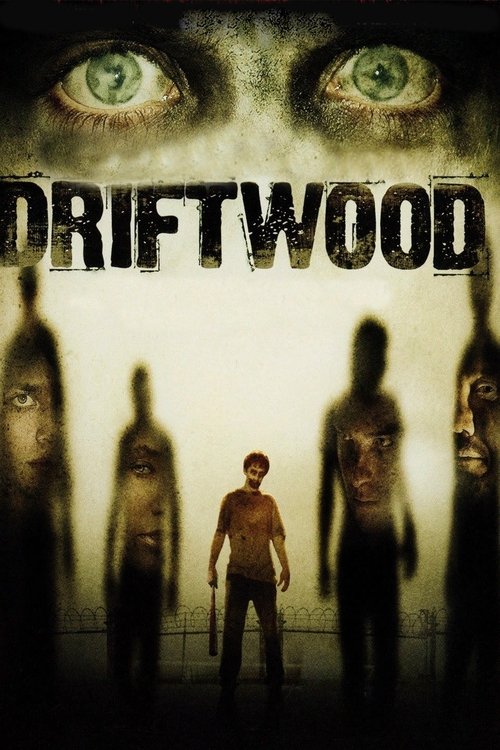 Movie poster for Driftwood (2006)