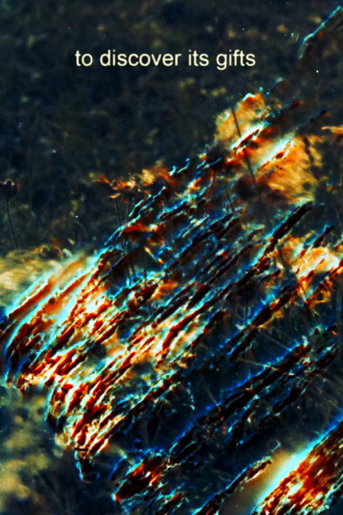 Movie poster for One Duck Down