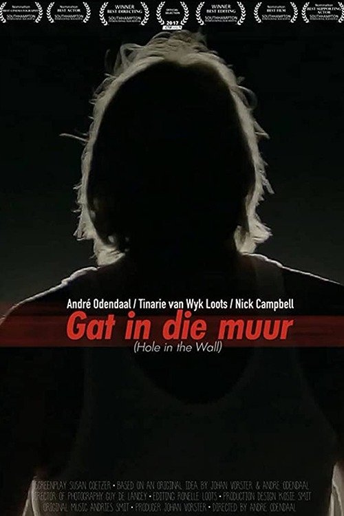 Movie poster for Hole In The Wall (2017)