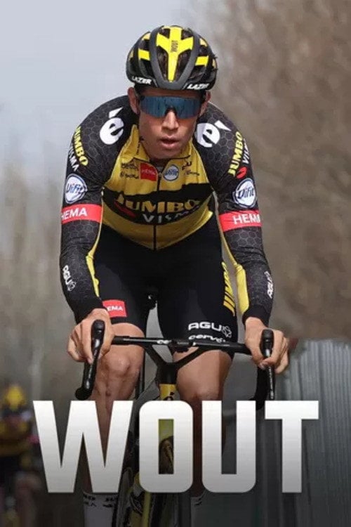 Series poster for Wout (2020)