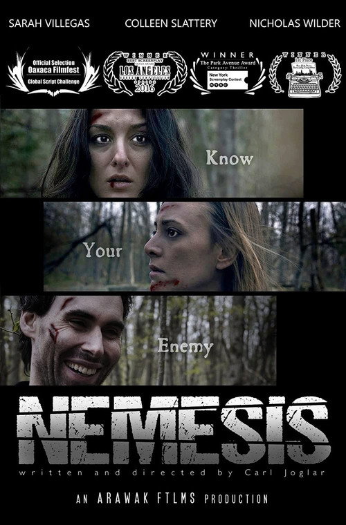 Movie poster for Nemesis (2017)