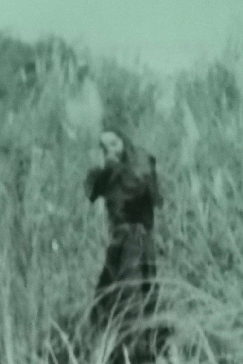 Movie poster for Aswang 1933 (2017)