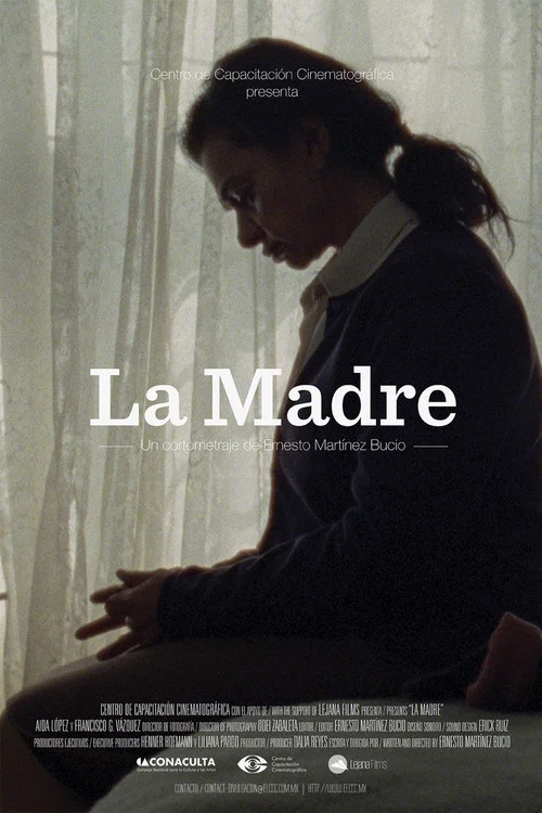 Movie poster for The Mother (2012)