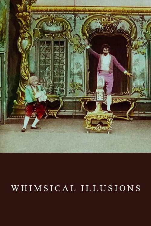 Movie poster for Whimsical Illusions (1909)