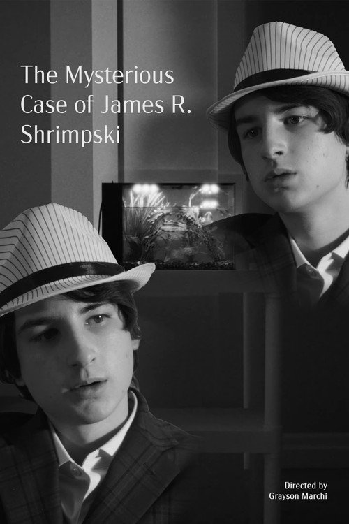 Movie poster for The Mysterious Case of James R. Shrimpski (2025)