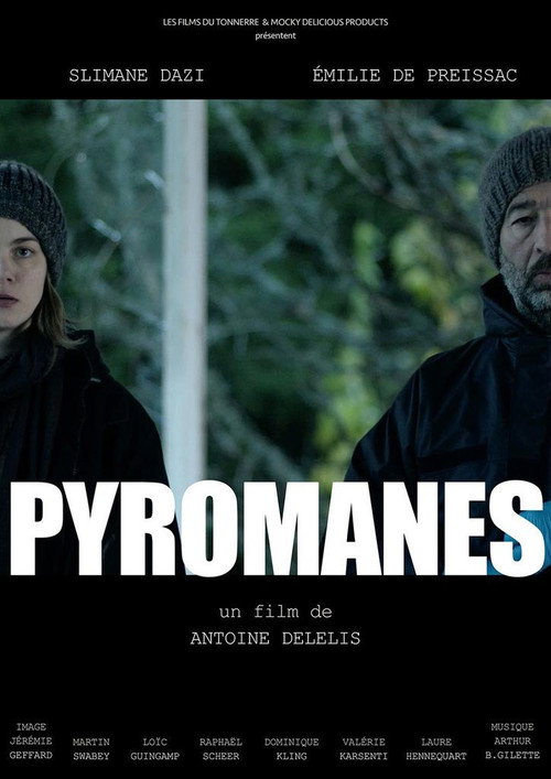 Movie poster for Pyromanes (2019)