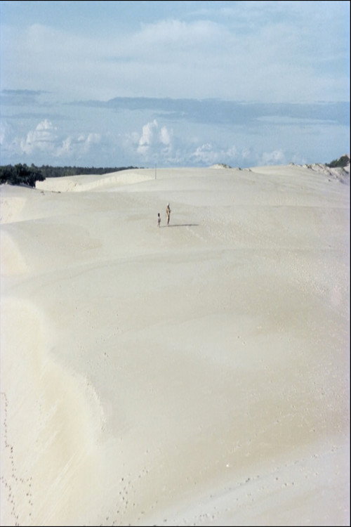 Movie poster for Itaúnas: Ecological Disaster (1979)