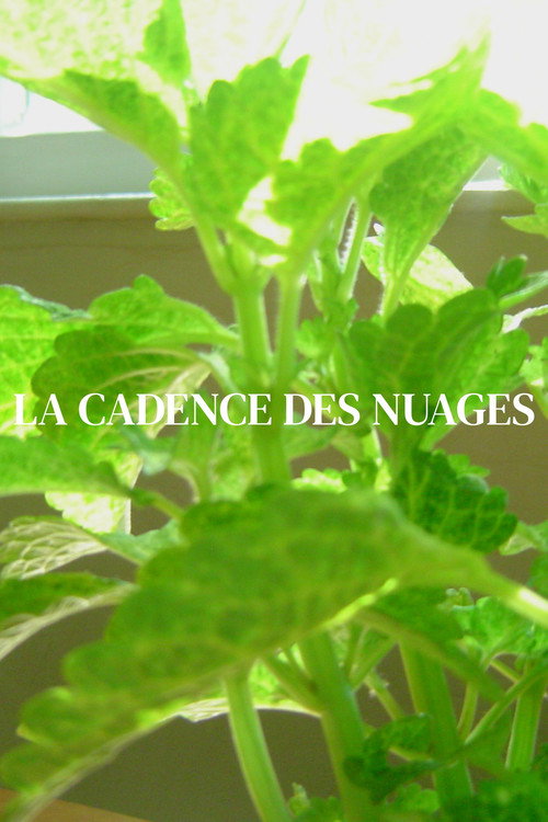 Movie poster for La cadence des nuages (2024)