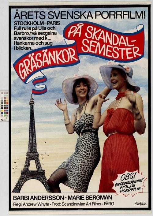 Movie poster for Crazy Swedish Holidays in Paris (1980)