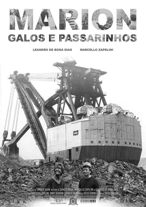 Movie poster for Marion, Galos e Passarinhos (2021)