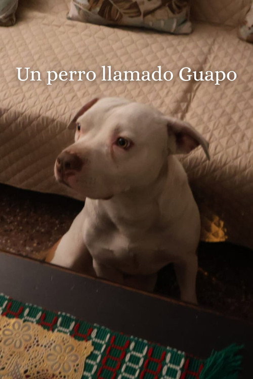 Movie poster for Un Perro Llamado Guapo (2025)