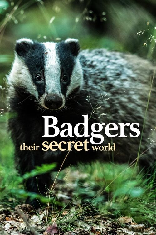 Series poster for Badgers: Their Secret World (2023)