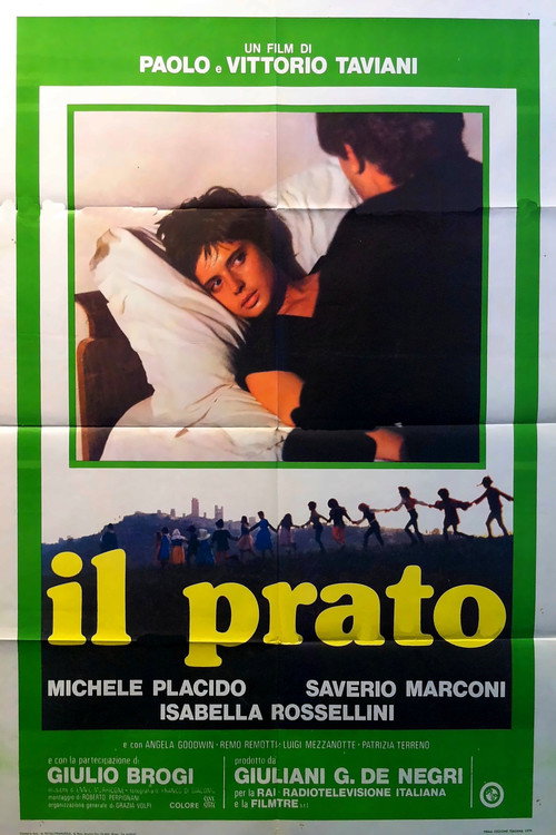 Movie poster for The Meadow (1979)