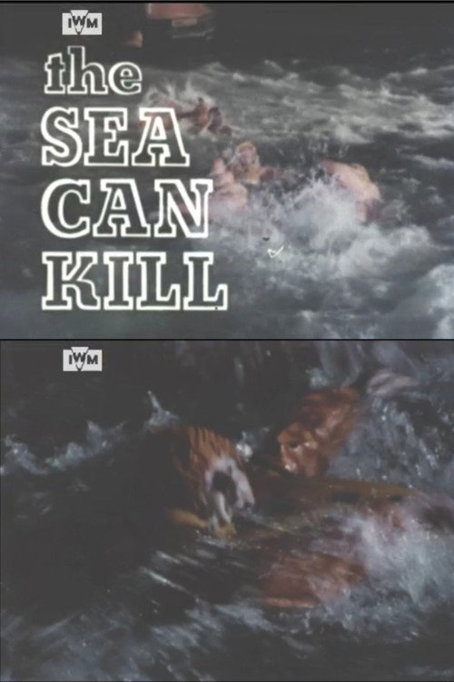Movie poster for The Sea Can Kill (1978)
