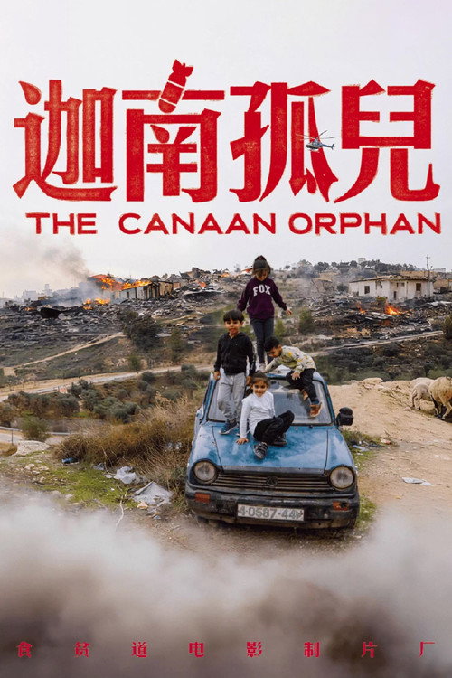 Movie poster for 迦南孤儿 (2024)