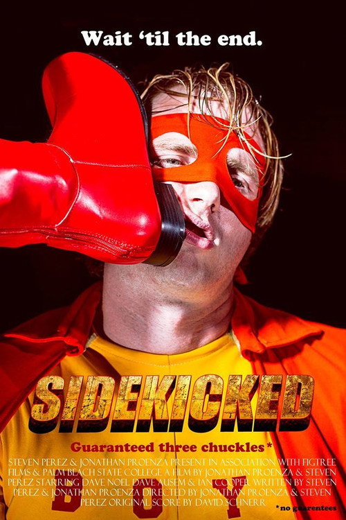 Movie poster for SideKicked (2016)