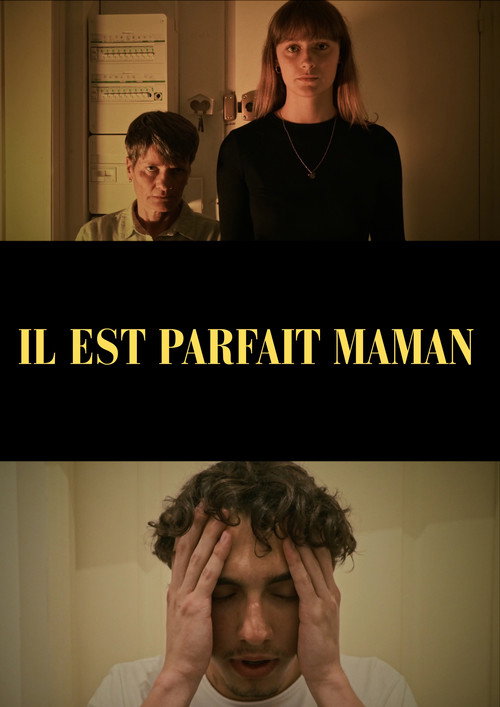Movie poster for He's perfect mom